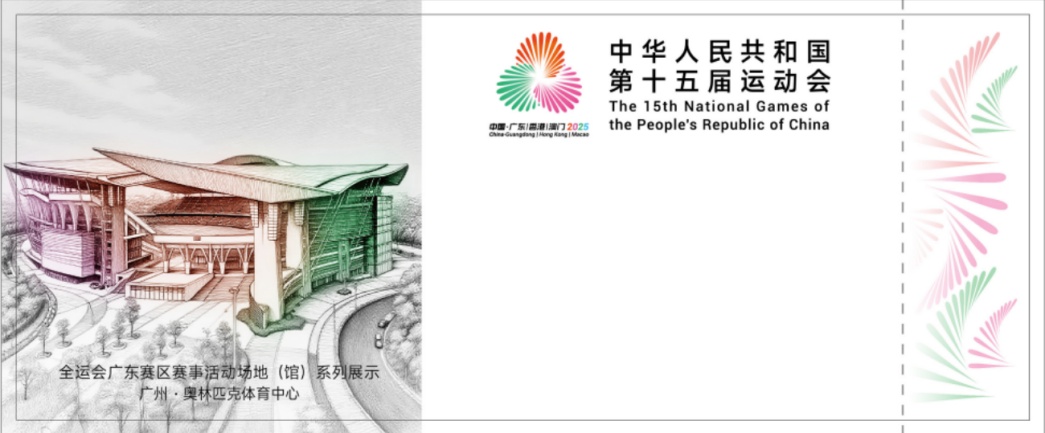 msn, 区执委会了, 其他项目赛